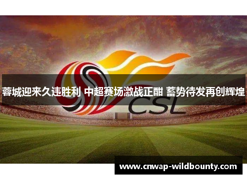 蓉城迎来久违胜利 中超赛场激战正酣 蓄势待发再创辉煌 蓉城迎来久违胜利 中超赛场激战正酣 蓄势待发再创辉煌