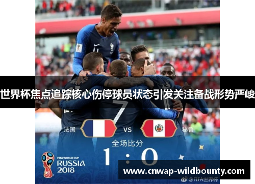 世界杯焦点追踪核心伤停球员状态引发关注备战形势严峻 世界杯焦点追踪核心伤停球员状态引发关注备战形势严峻