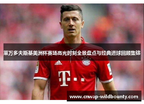 莱万多夫斯基美洲杯赛场高光时刻全景盘点与经典进球回顾集锦 莱万多夫斯基美洲杯赛场高光时刻全景盘点与经典进球回顾集锦