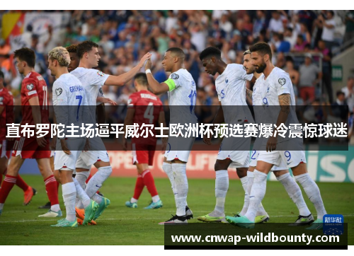 直布罗陀主场逼平威尔士欧洲杯预选赛爆冷震惊球迷 直布罗陀主场逼平威尔士欧洲杯预选赛爆冷震惊球迷